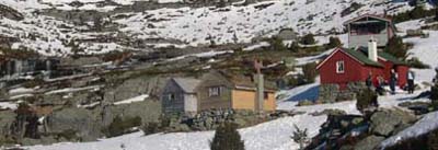 Image Image