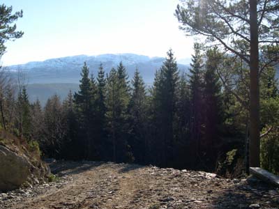 Image Image