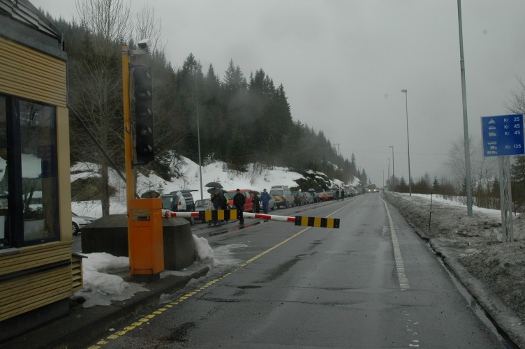 20100320-525-svarthumle020
