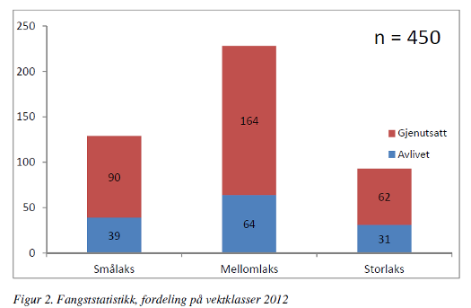 2013-525-vekt