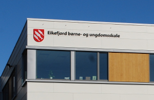 Skulestrukturen